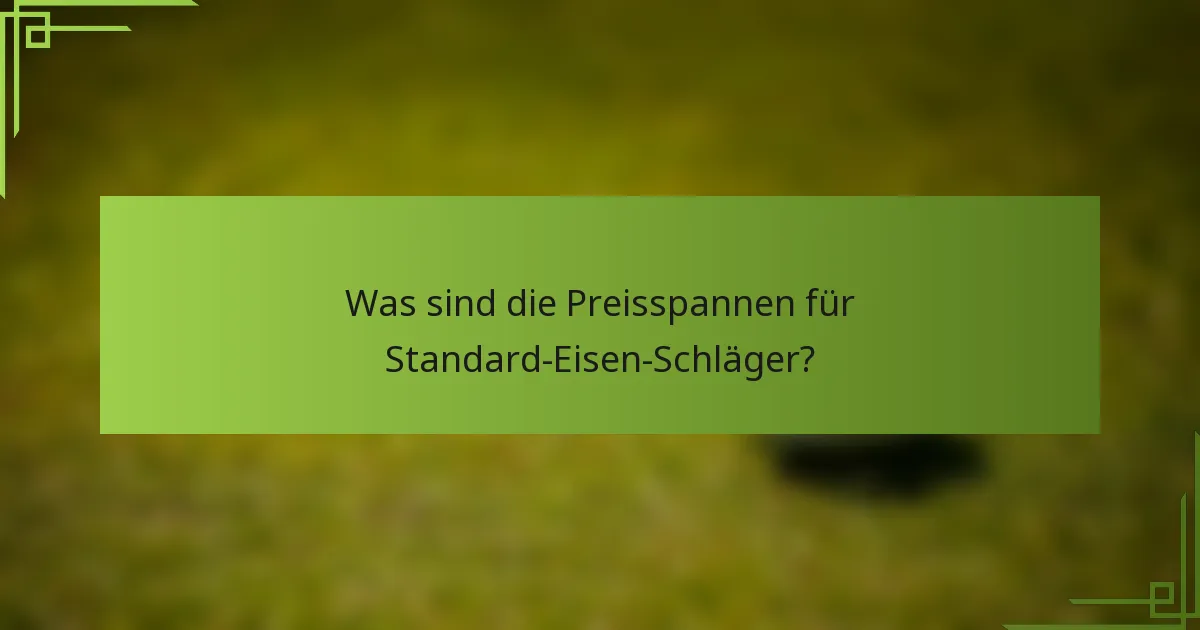 Was sind die Preisspannen für Standard-Eisen-Schläger?