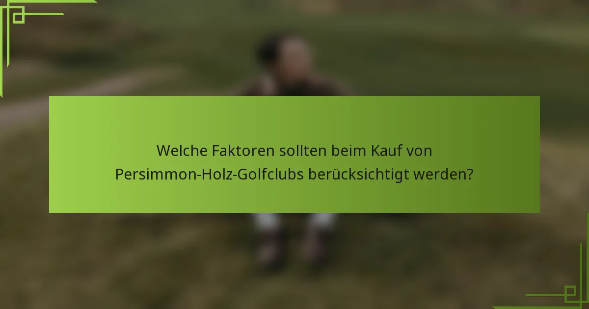 Welche Faktoren sollten beim Kauf von Persimmon-Holz-Golfclubs berücksichtigt werden?