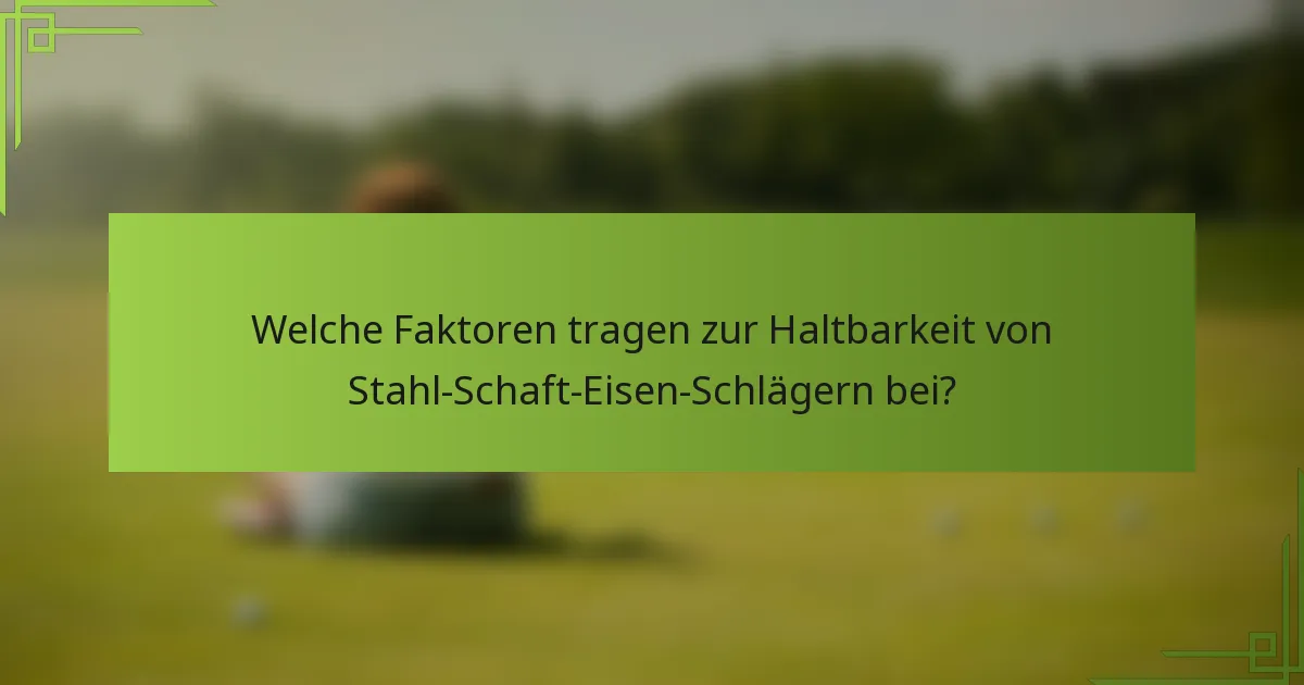 Welche Faktoren tragen zur Haltbarkeit von Stahl-Schaft-Eisen-Schlägern bei?