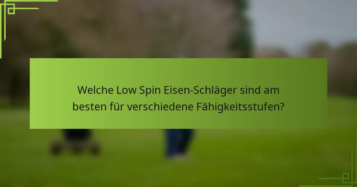 Welche Low Spin Eisen-Schläger sind am besten für verschiedene Fähigkeitsstufen?