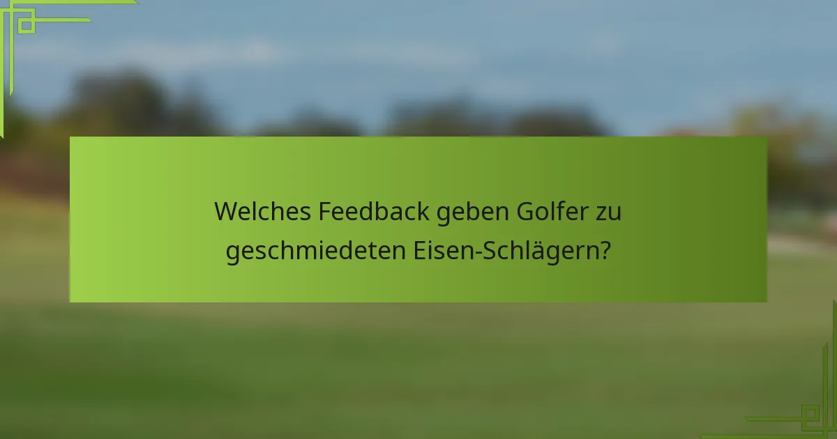Welches Feedback geben Golfer zu geschmiedeten Eisen-Schlägern?