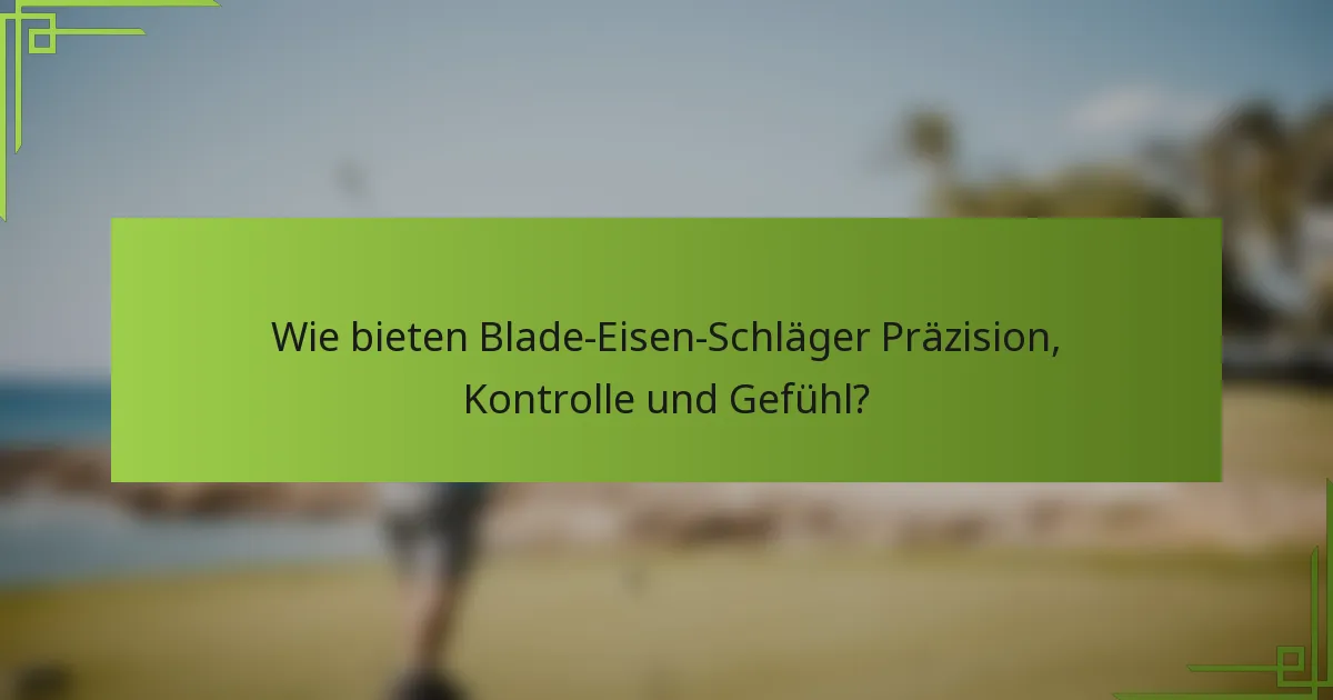 Wie bieten Blade-Eisen-Schläger Präzision, Kontrolle und Gefühl?