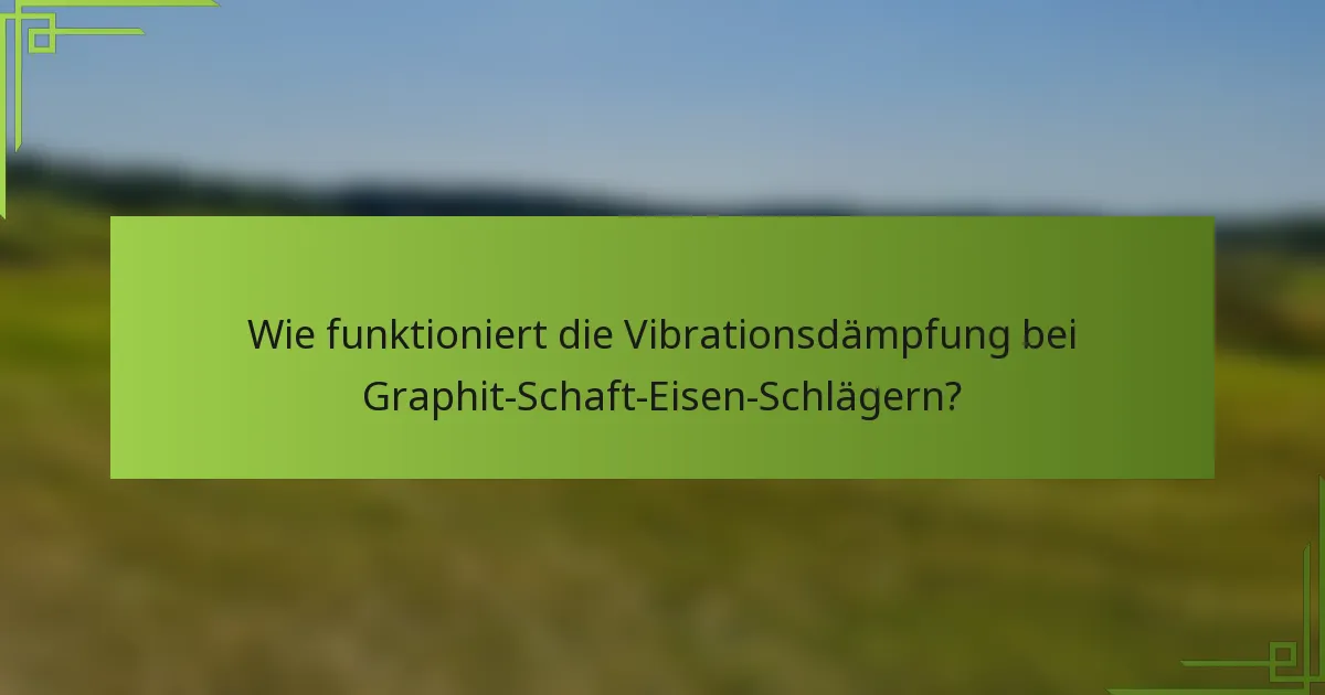 Wie funktioniert die Vibrationsdämpfung bei Graphit-Schaft-Eisen-Schlägern?